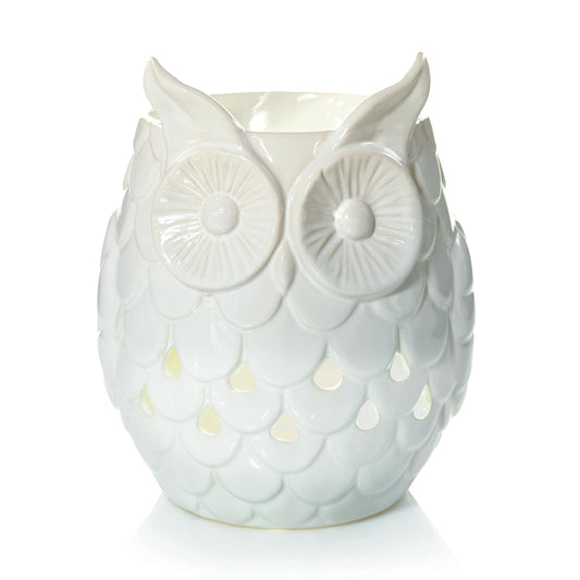 Owl (S5JPF)