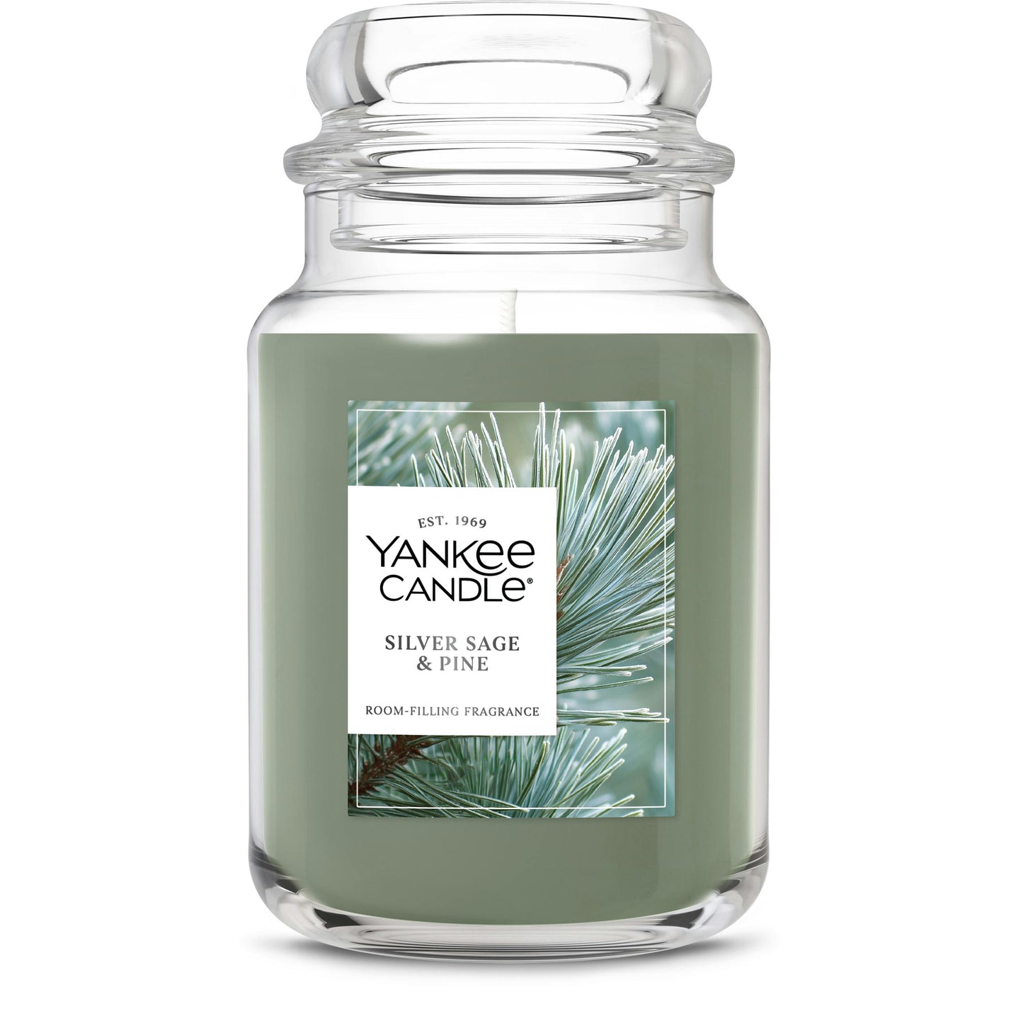 Silver Sage & Pine (S5NW6)
