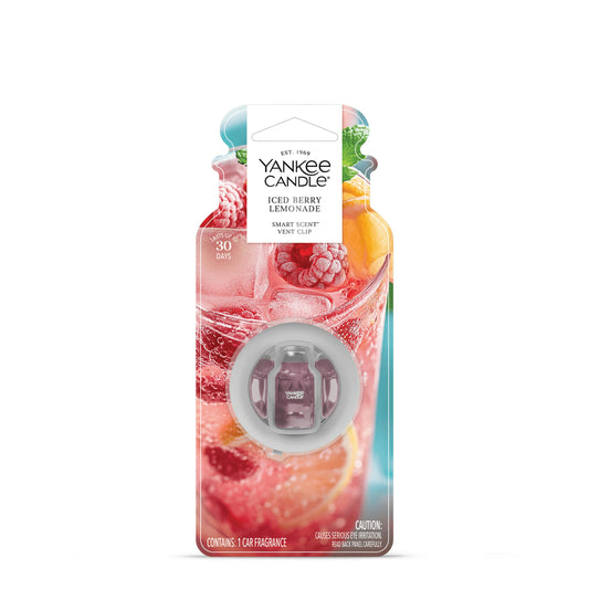 Iced Berry Lemonade (S5SYL)