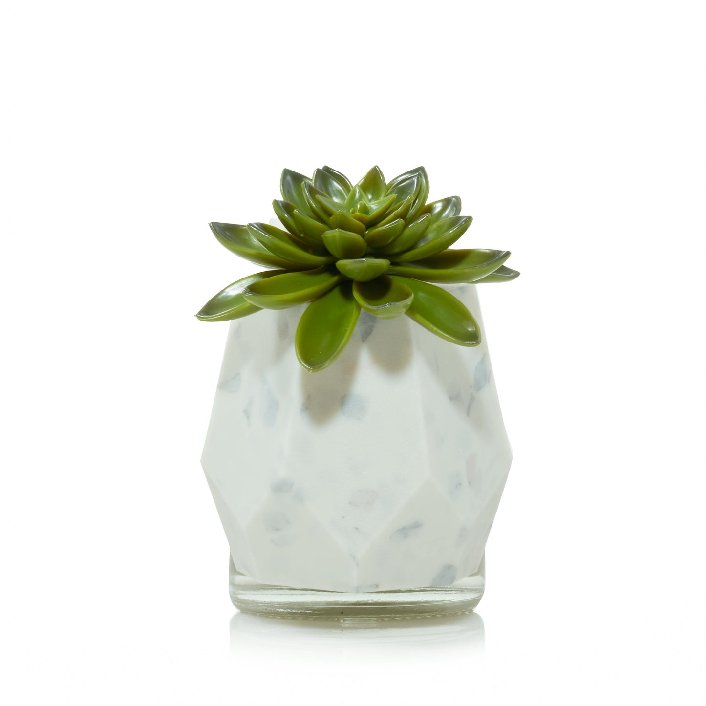 Faceted Succulent ScentPlug® Diffuser with Light (S5ANG)