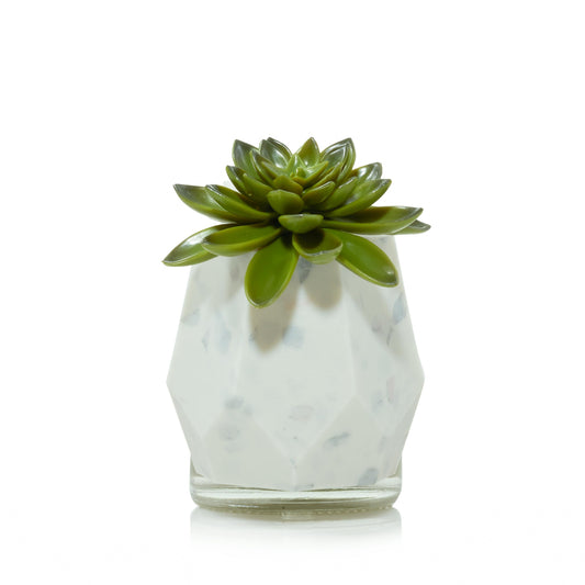 Faceted Succulent ScentPlug® Diffuser with Light (S5ANG)